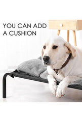 Raised Dog Bed